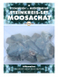 Preview: Moosachat Rohsteine Steinwesen im Medizinrad Steinkreis Set