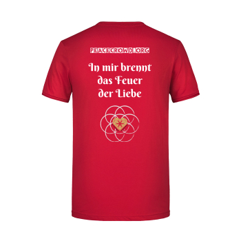 Ich bin schön... 4 Seiten Druck T-Shirt Herren klassisch (JN790)
