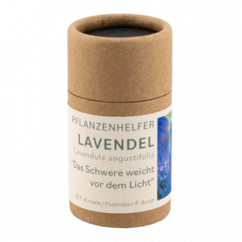 Lavendel Pflanzenhelfer in 30ml Pappdose