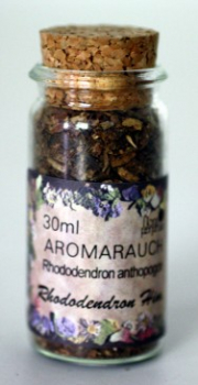 Rhododendron Himalaya im 30ml Gläschen