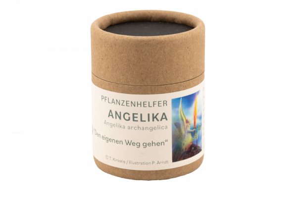 Angelikawurzel Pflanzenhelfer in 50ml Pappdose