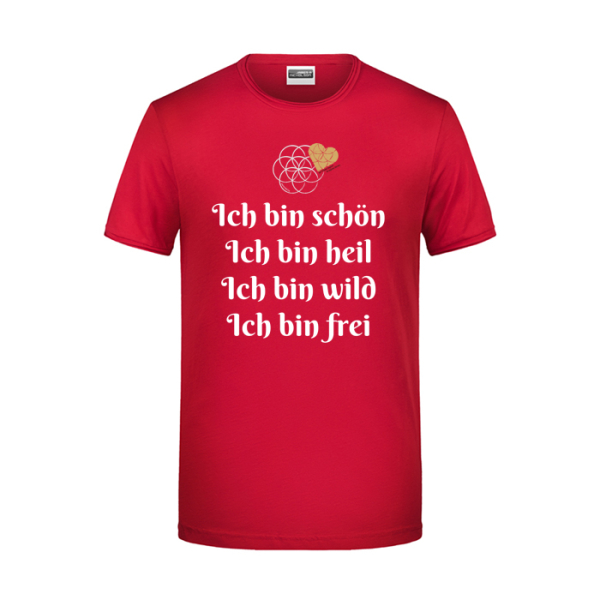 Ich bin schön... 4 Seiten Druck T-Shirt Herren klassisch (JN790)