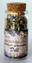 Dill im 30ml Gläschen