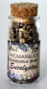 Eukalyptusfrüchte im 30ml Gläschen
