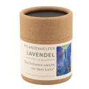 Lavendel Pflanzenhelfer in 50ml Pappdose