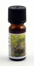 Patchouli Pflanzenhelfer Öl